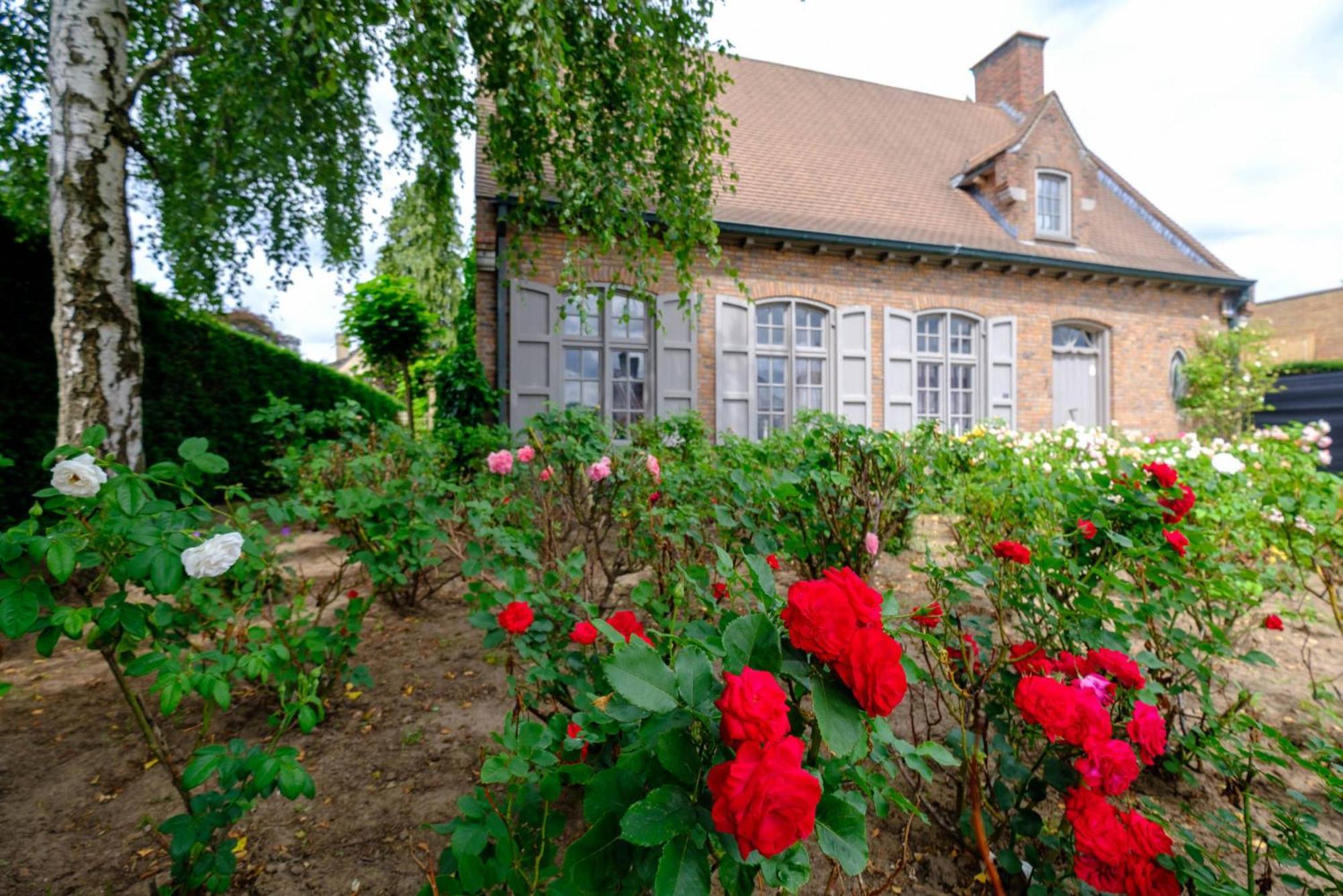 B&B Rozerie Anzegem Εξωτερικό φωτογραφία