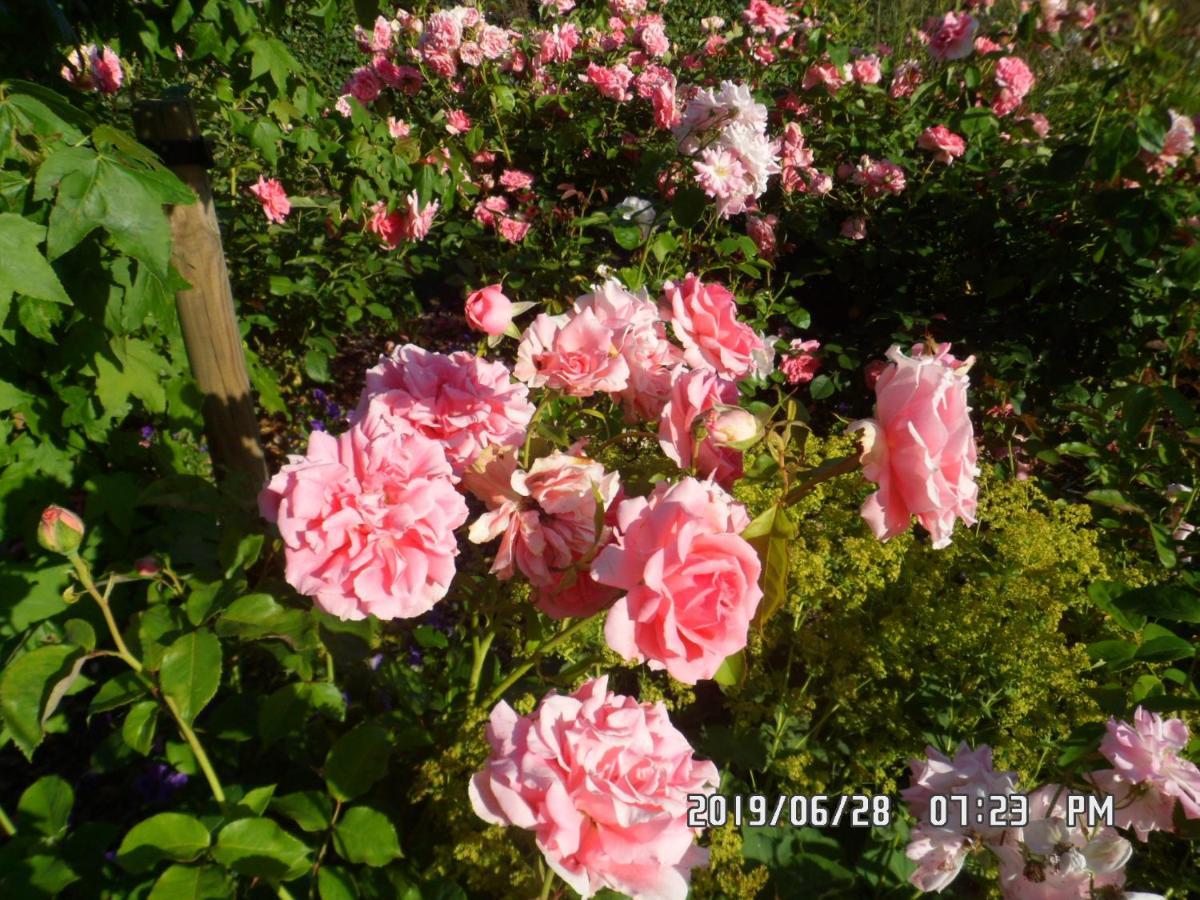 B&B Rozerie Anzegem Εξωτερικό φωτογραφία